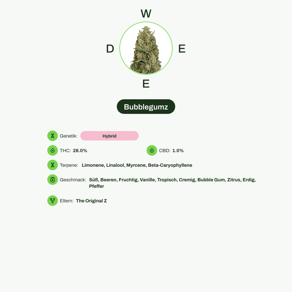 Infografik über THC-Gehalt, CBD-Gehalt, Terpene, Wirkungen, Geschmack von Bubblegumz