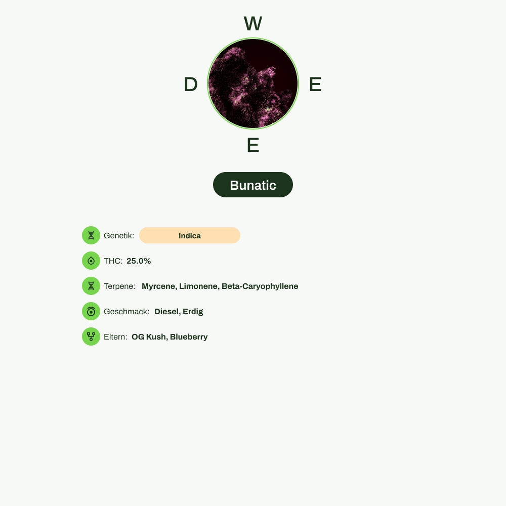 Infografik über THC-Gehalt, CBD-Gehalt, Terpene, Wirkungen, Geschmack von Bunatic