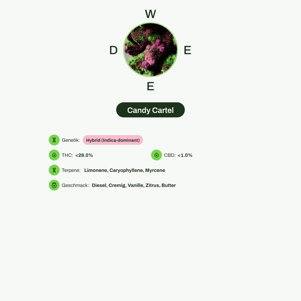 Infografik über THC-Gehalt, CBD-Gehalt, Terpene, Wirkungen, Geschmack von Candy Cartel