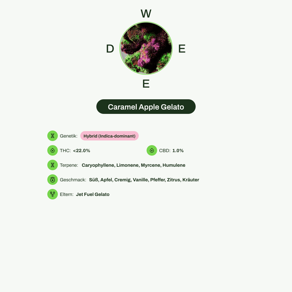 Infografik über THC-Gehalt, CBD-Gehalt, Terpene, Wirkungen, Geschmack von Caramel Apple Gelato