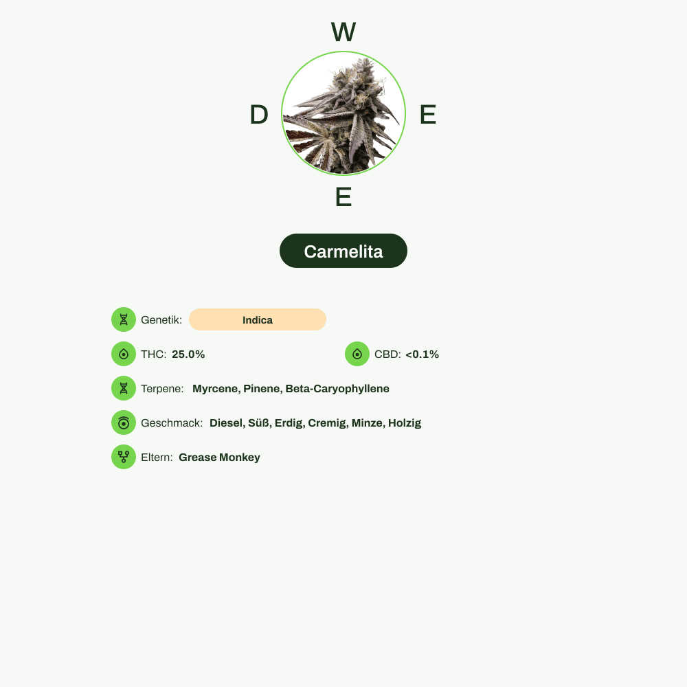 Infografik über THC-Gehalt, CBD-Gehalt, Terpene, Wirkungen, Geschmack von Carmelita