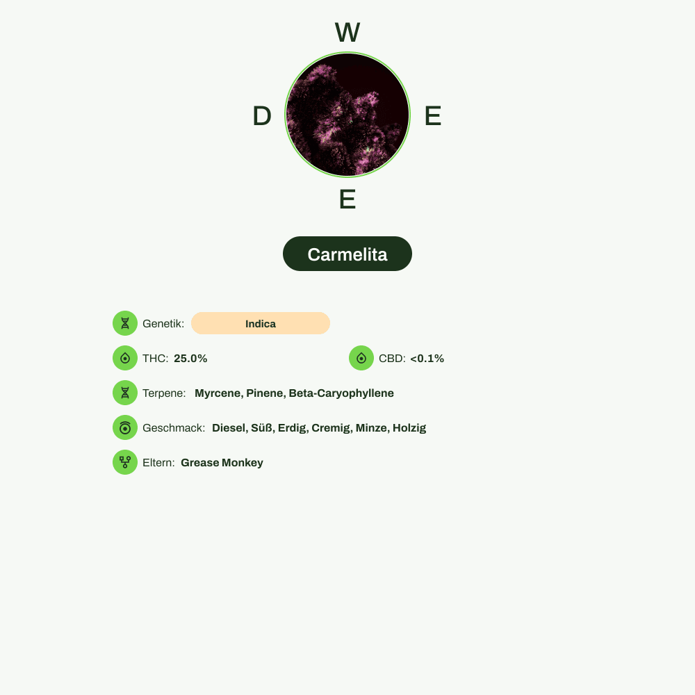 Infografik über THC-Gehalt, CBD-Gehalt, Terpene, Wirkungen, Geschmack von Carmelita