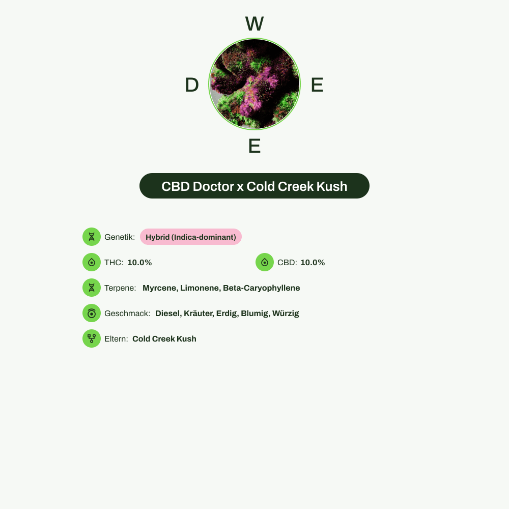 Infografik über THC-Gehalt, CBD-Gehalt, Terpene, Wirkungen, Geschmack von CBD Doctor x Cold Creek Kush