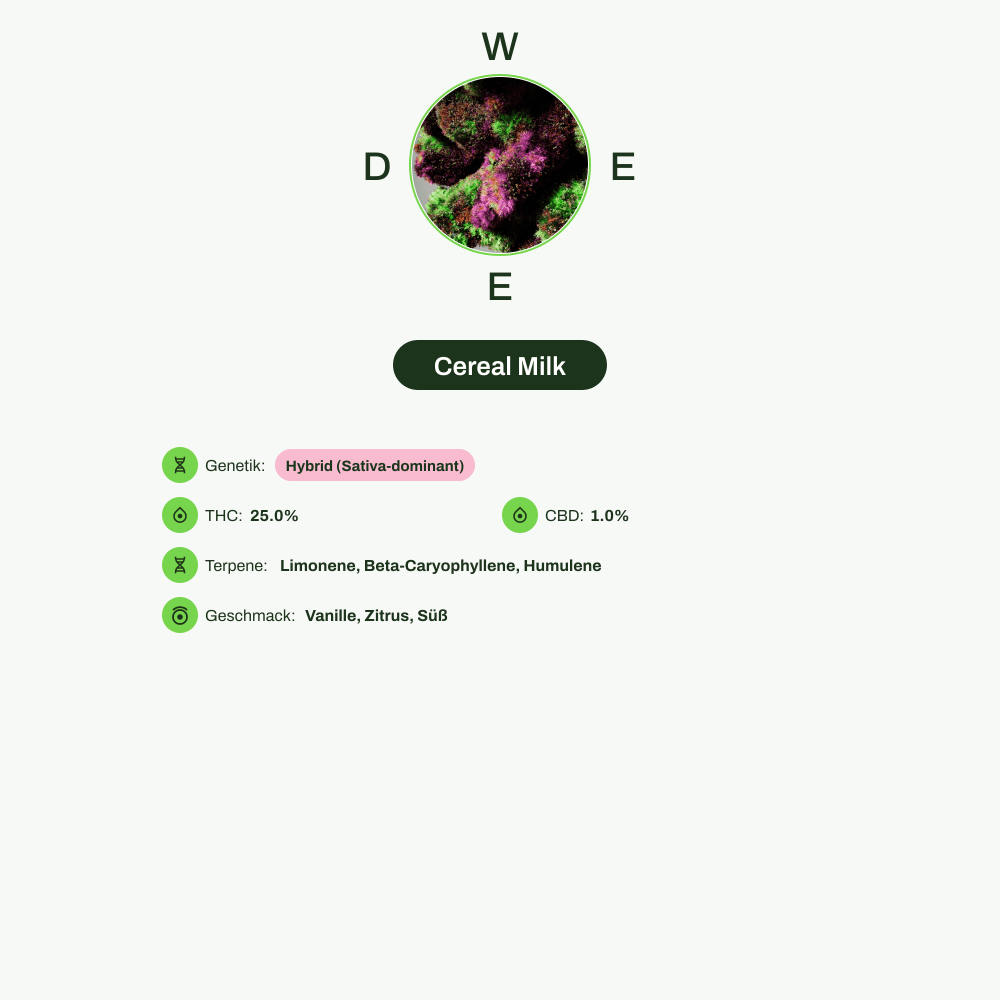 Infografik über THC-Gehalt, CBD-Gehalt, Terpene, Wirkungen, Geschmack von Cereal Milk
