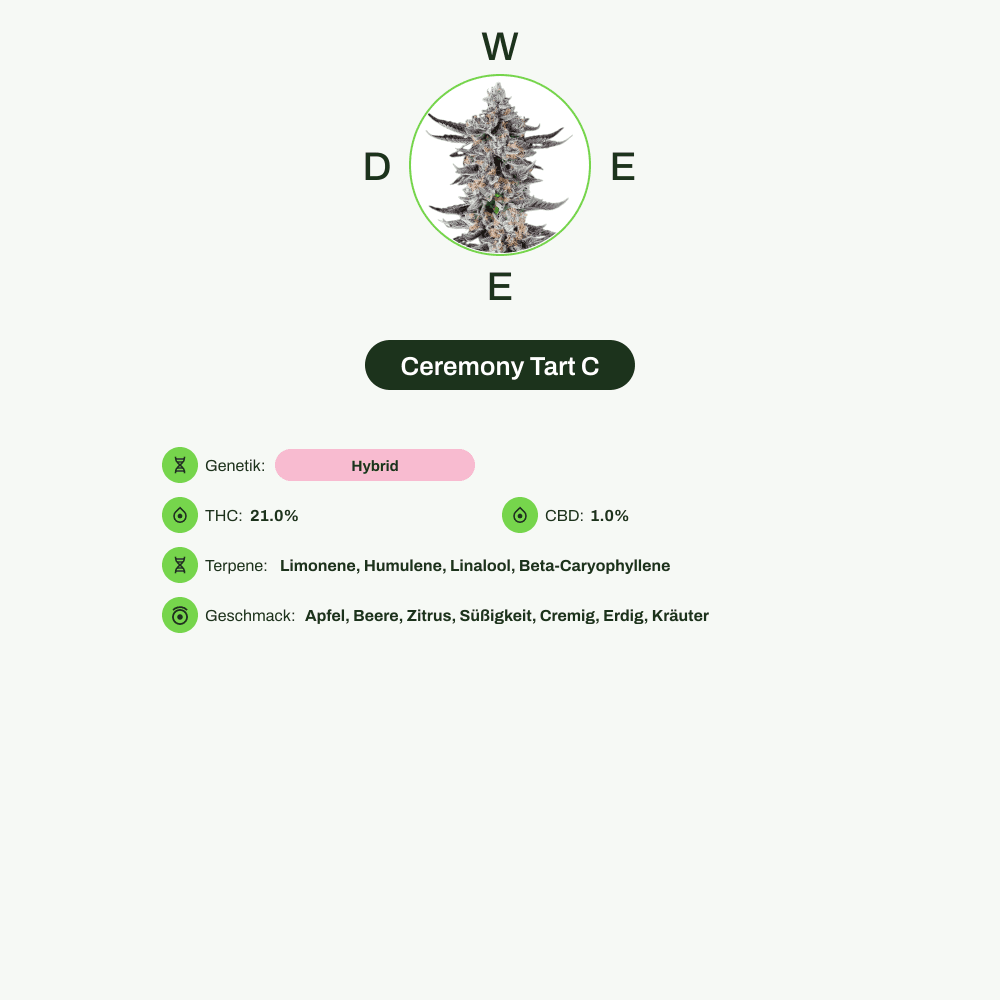 Infografik über THC-Gehalt, CBD-Gehalt, Terpene, Wirkungen, Geschmack von Ceremony Tart C