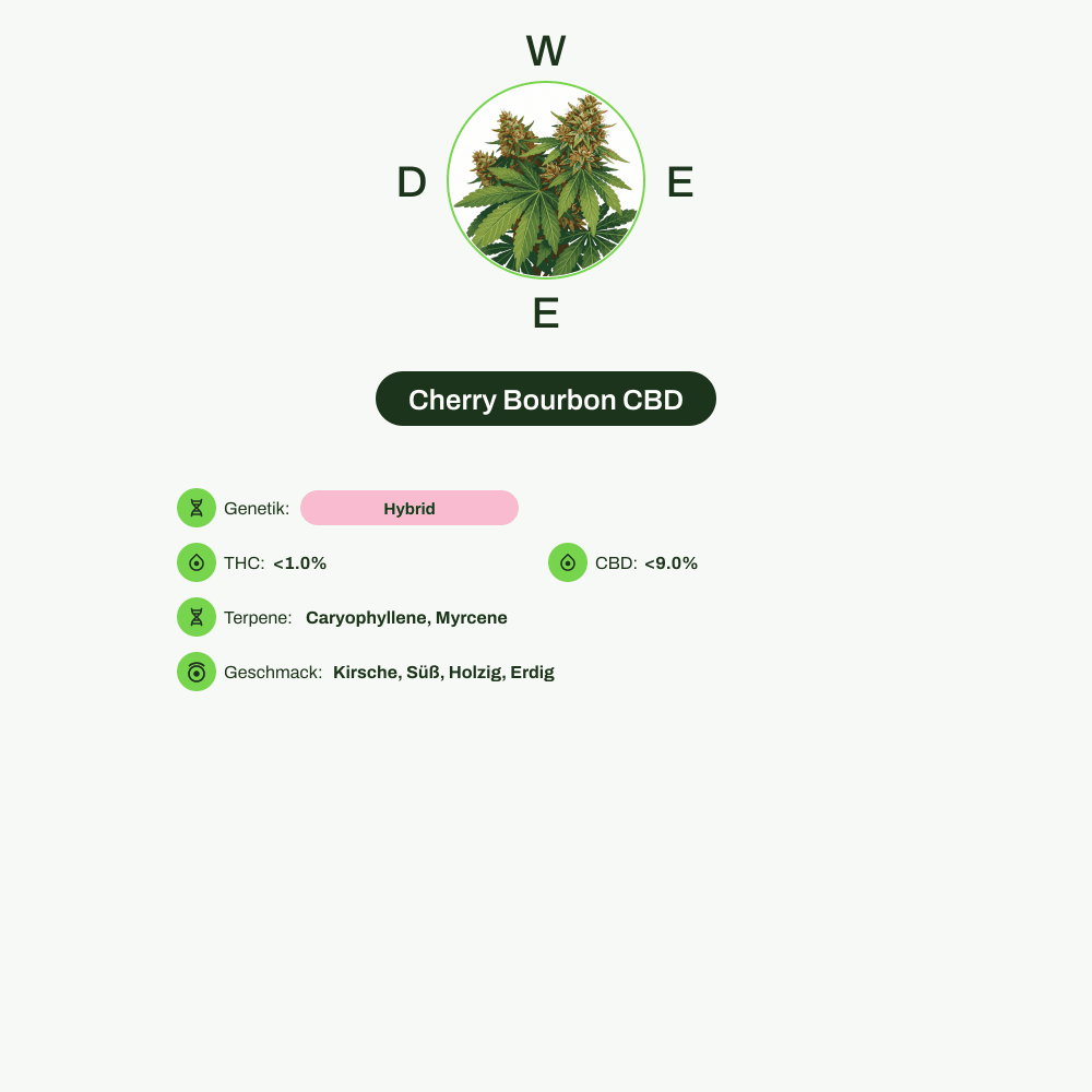 Infografik über THC-Gehalt, CBD-Gehalt, Terpene, Wirkungen, Geschmack von Cherry Bourbon CBD