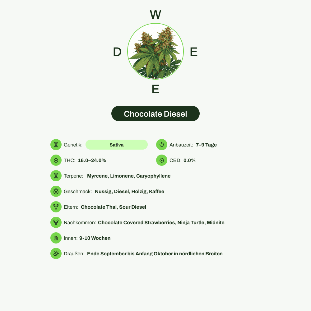 Infografik über THC-Gehalt, CBD-Gehalt, Terpene, Wirkungen, Geschmack von Chocolate Diesel