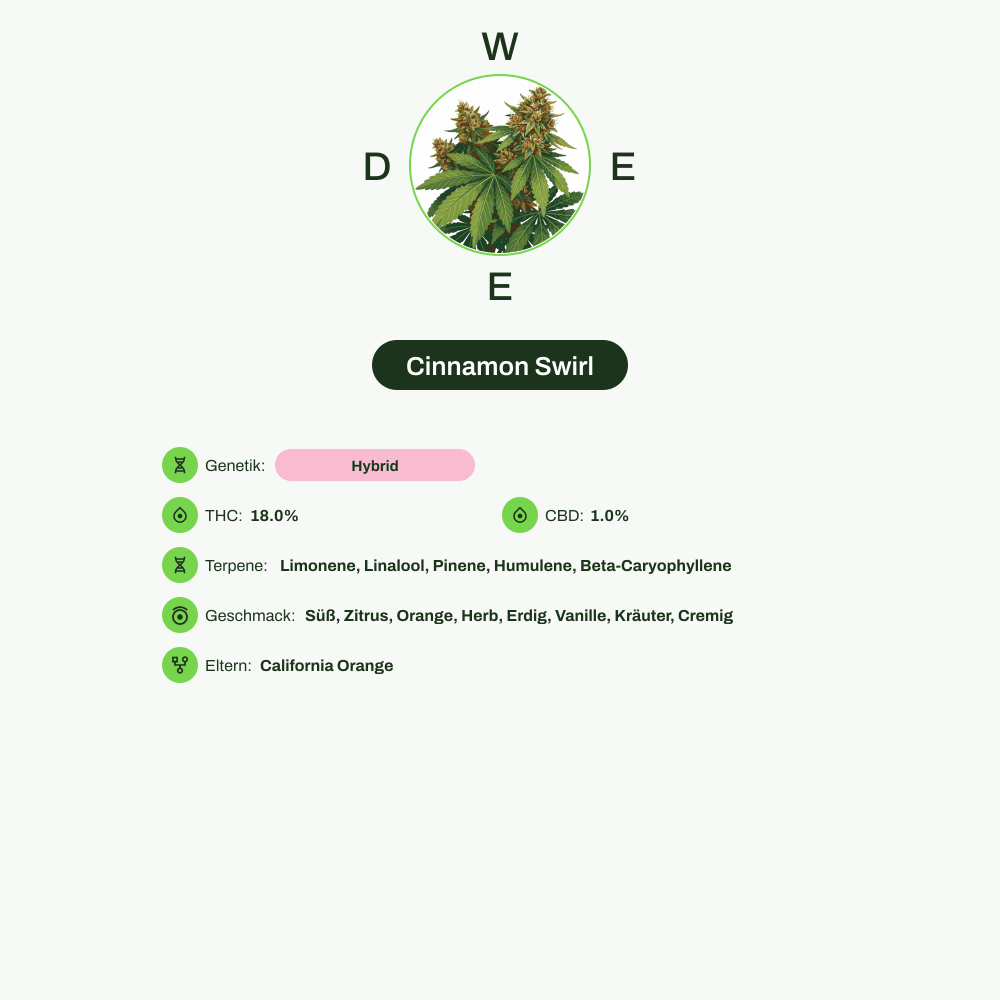 Infografik über THC-Gehalt, CBD-Gehalt, Terpene, Wirkungen, Geschmack von Cinnamon Swirl