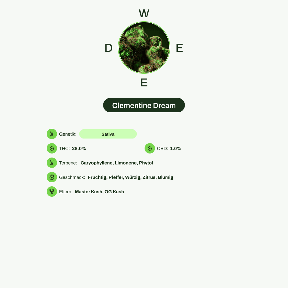 Infografik über THC-Gehalt, CBD-Gehalt, Terpene, Wirkungen, Geschmack von Clementine Dream