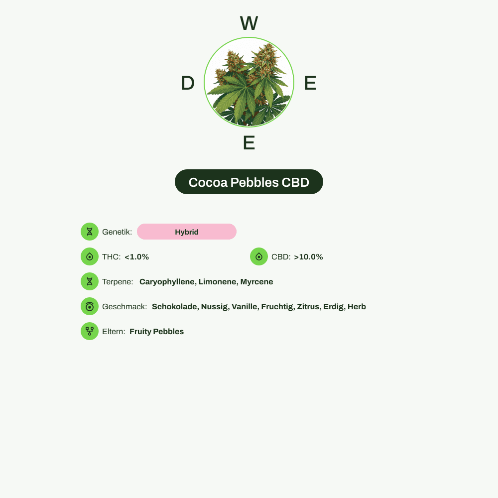 Infografik über THC-Gehalt, CBD-Gehalt, Terpene, Wirkungen, Geschmack von Cocoa Pebbles CBD