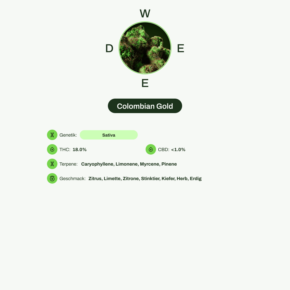 Infografik über THC-Gehalt, CBD-Gehalt, Terpene, Wirkungen, Geschmack von Colombian Gold