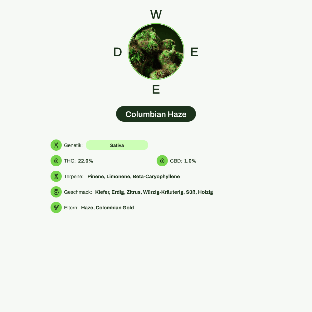 Infografik über THC-Gehalt, CBD-Gehalt, Terpene, Wirkungen, Geschmack von Columbian Haze