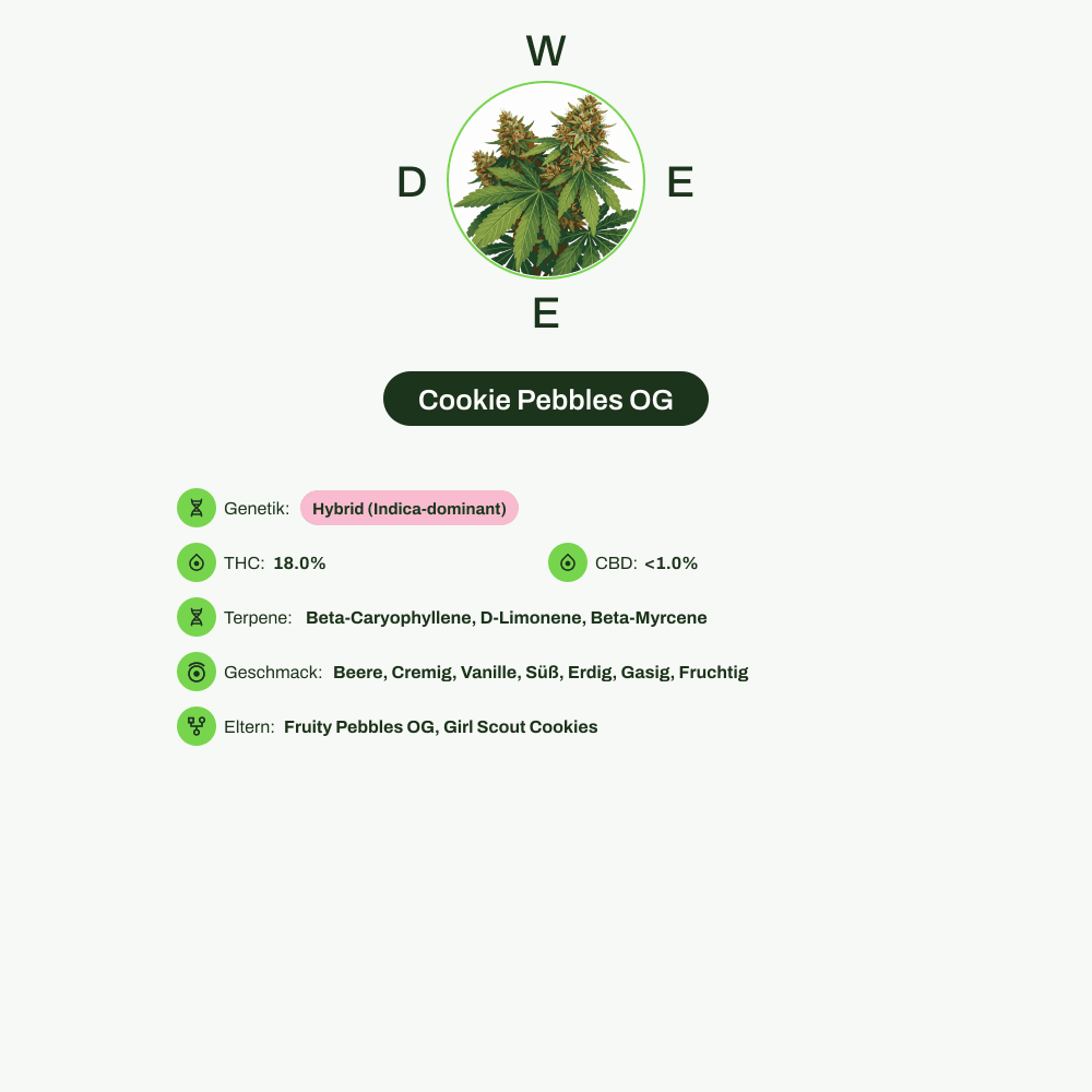 Infografik über THC-Gehalt, CBD-Gehalt, Terpene, Wirkungen, Geschmack von Cookie Pebbles OG