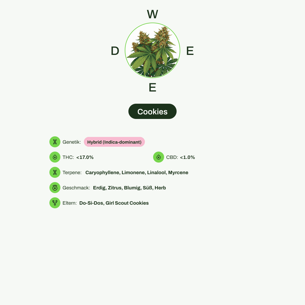 Infografik über THC-Gehalt, CBD-Gehalt, Terpene, Wirkungen, Geschmack von Cookies