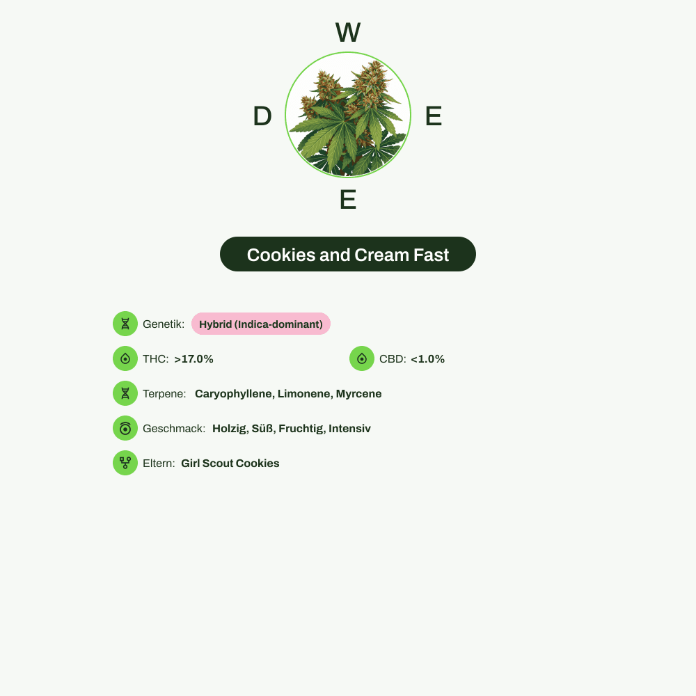 Infografik über THC-Gehalt, CBD-Gehalt, Terpene, Wirkungen, Geschmack von Cookies and Cream Fast