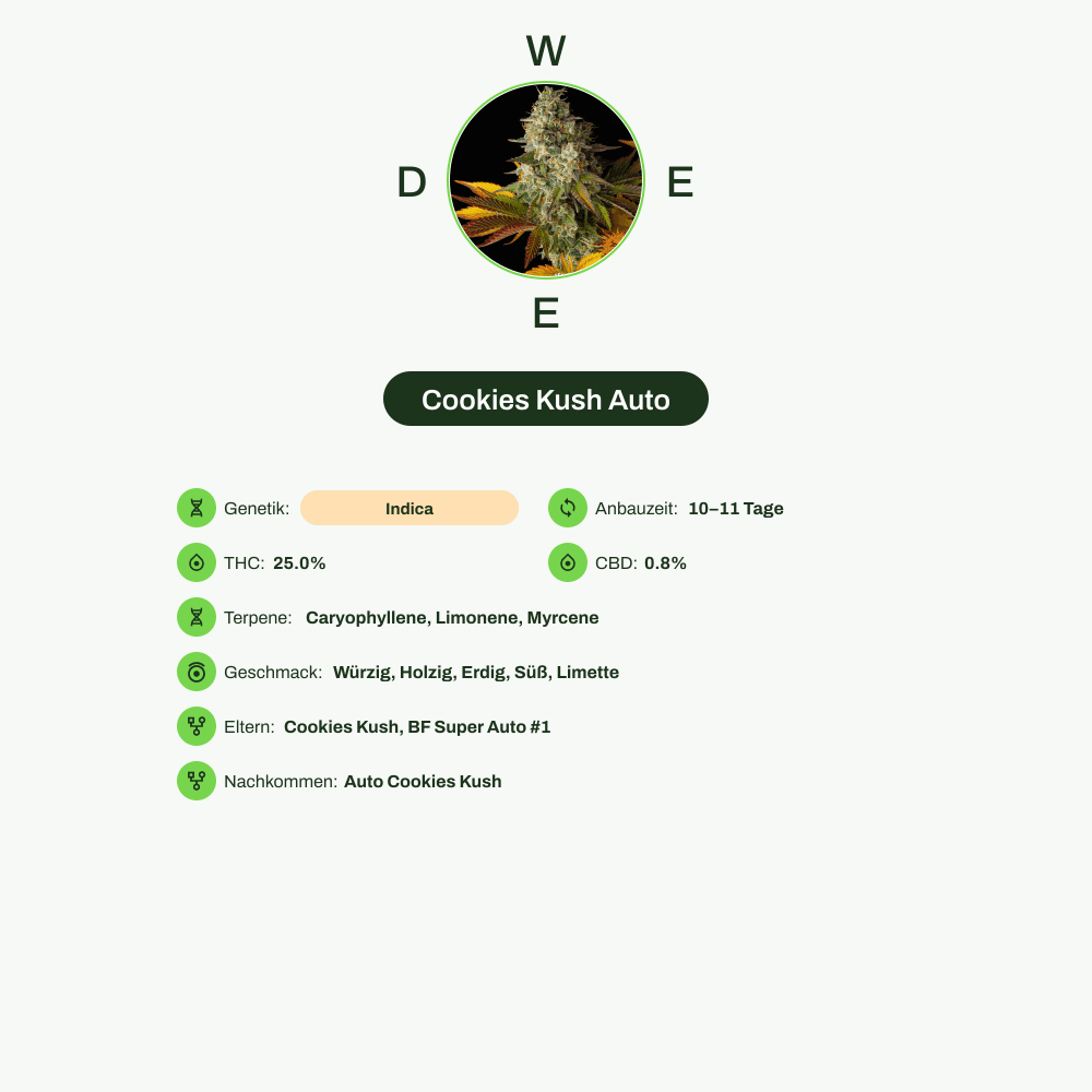 Infografik über THC-Gehalt, CBD-Gehalt, Terpene, Wirkungen, Geschmack von Cookies Kush Auto