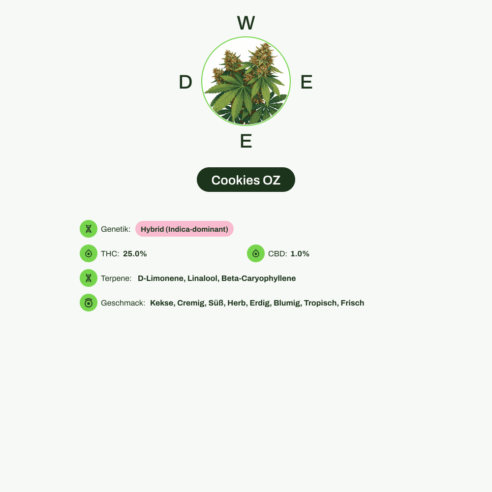 Infografik über THC-Gehalt, CBD-Gehalt, Terpene, Wirkungen, Geschmack von Cookies OZ