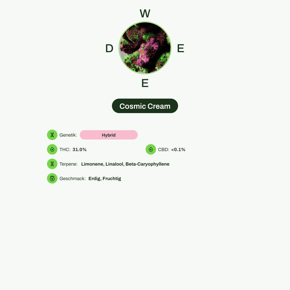 Infografik über THC-Gehalt, CBD-Gehalt, Terpene, Wirkungen, Geschmack von Cosmic Cream