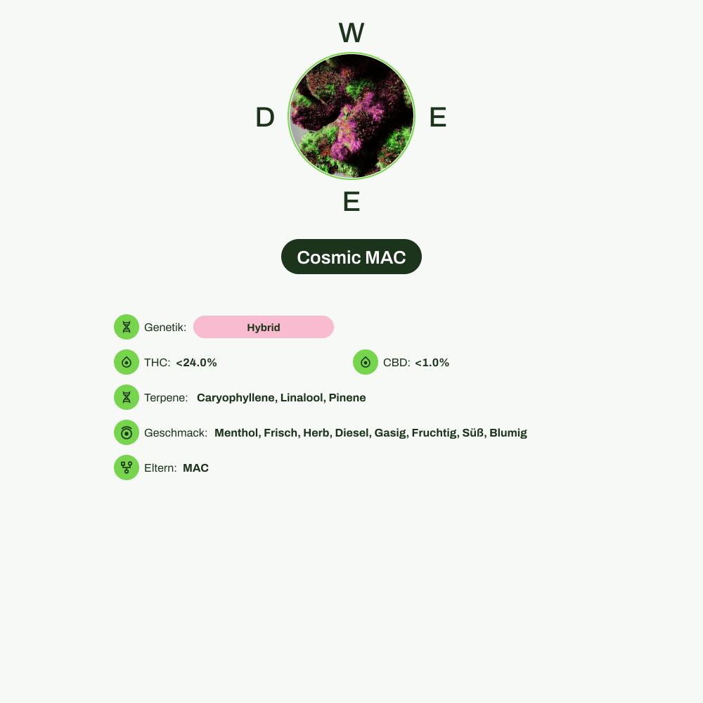 Infografik über THC-Gehalt, CBD-Gehalt, Terpene, Wirkungen, Geschmack von Cosmic MAC