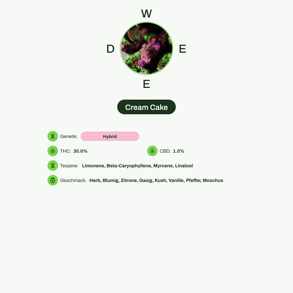 Infografik über THC-Gehalt, CBD-Gehalt, Terpene, Wirkungen, Geschmack von Cream Cake