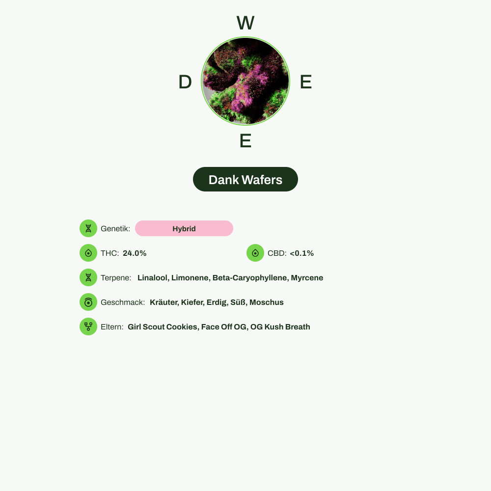 Infografik über THC-Gehalt, CBD-Gehalt, Terpene, Wirkungen, Geschmack von Dank Wafers