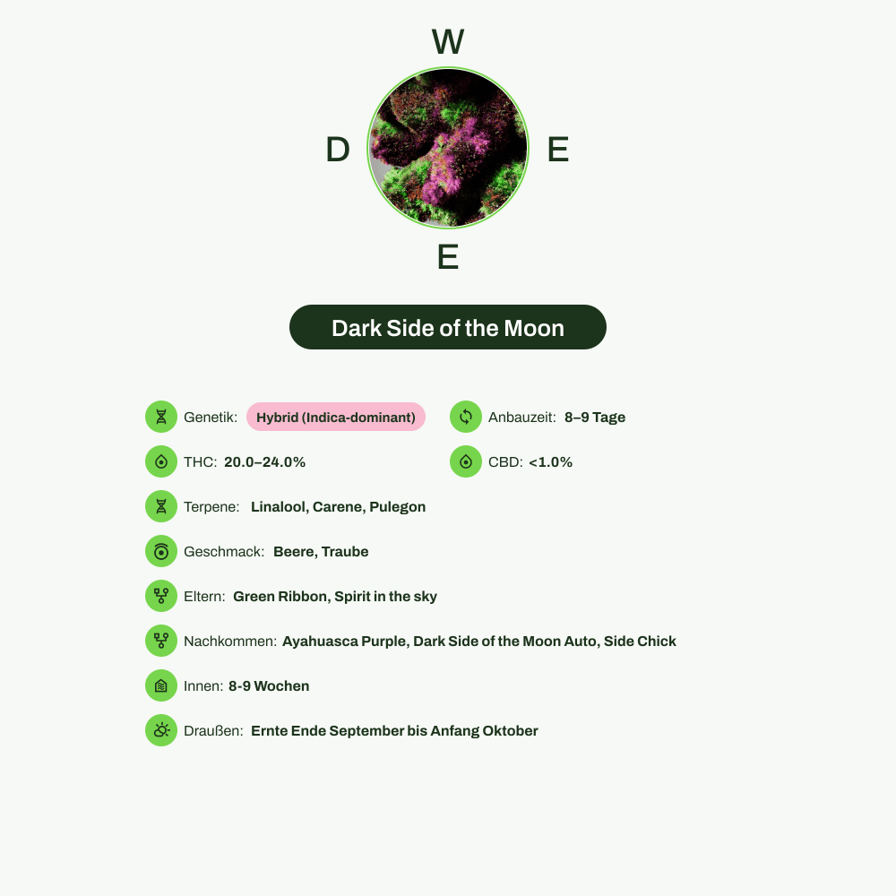 Infografik über THC-Gehalt, CBD-Gehalt, Terpene, Wirkungen, Geschmack von Dark Side of the Moon