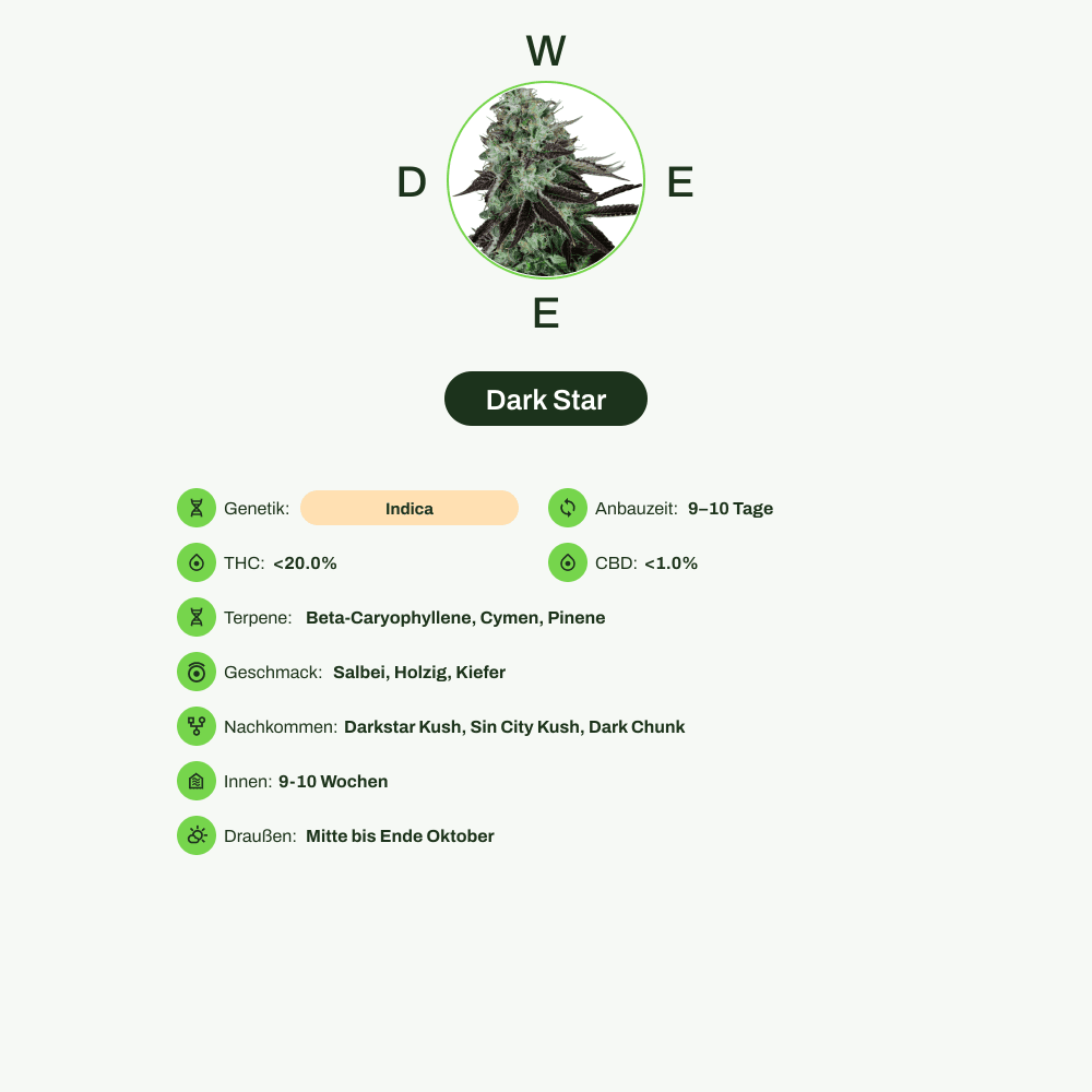 Infografik über THC-Gehalt, CBD-Gehalt, Terpene, Wirkungen, Geschmack von Dark Star
