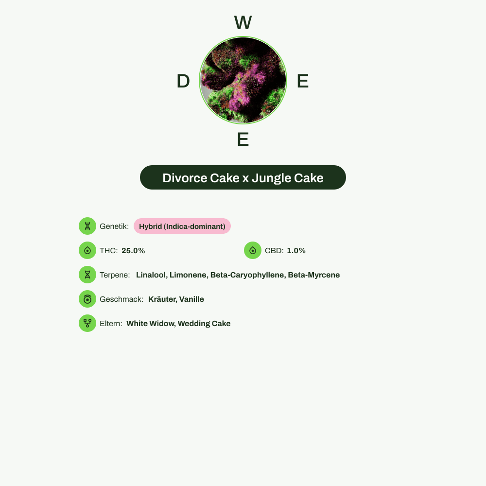 Infografik über THC-Gehalt, CBD-Gehalt, Terpene, Wirkungen, Geschmack von Divorce Cake x Jungle Cake