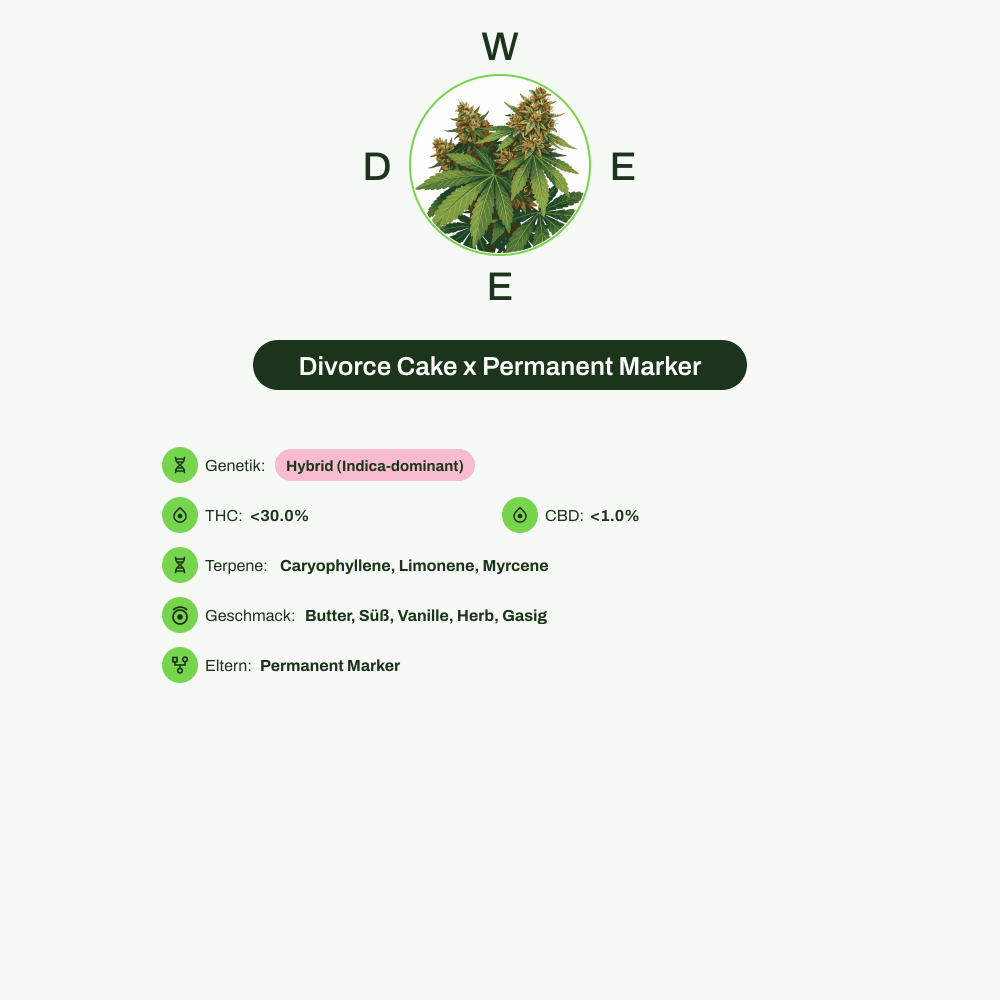 Infografik über THC-Gehalt, CBD-Gehalt, Terpene, Wirkungen, Geschmack von Divorce Cake x Permanent Marker
