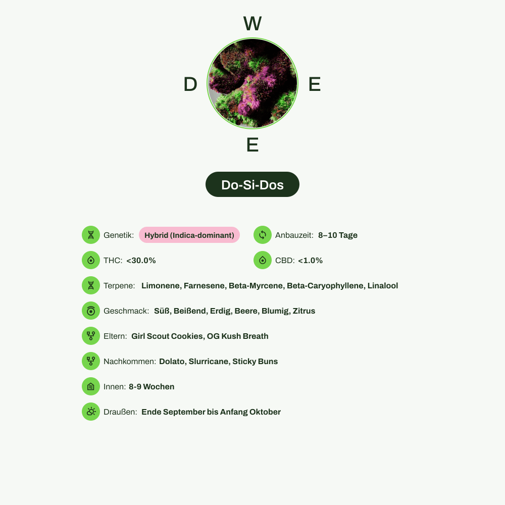 Infografik über THC-Gehalt, CBD-Gehalt, Terpene, Wirkungen, Geschmack von Do-Si-Dos