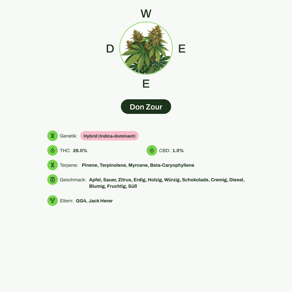 Infografik über THC-Gehalt, CBD-Gehalt, Terpene, Wirkungen, Geschmack von Don Zour