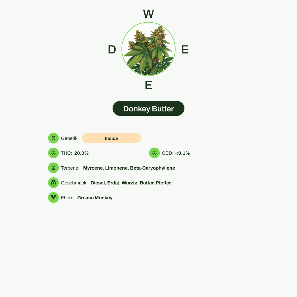 Infografik über THC-Gehalt, CBD-Gehalt, Terpene, Wirkungen, Geschmack von Donkey Butter
