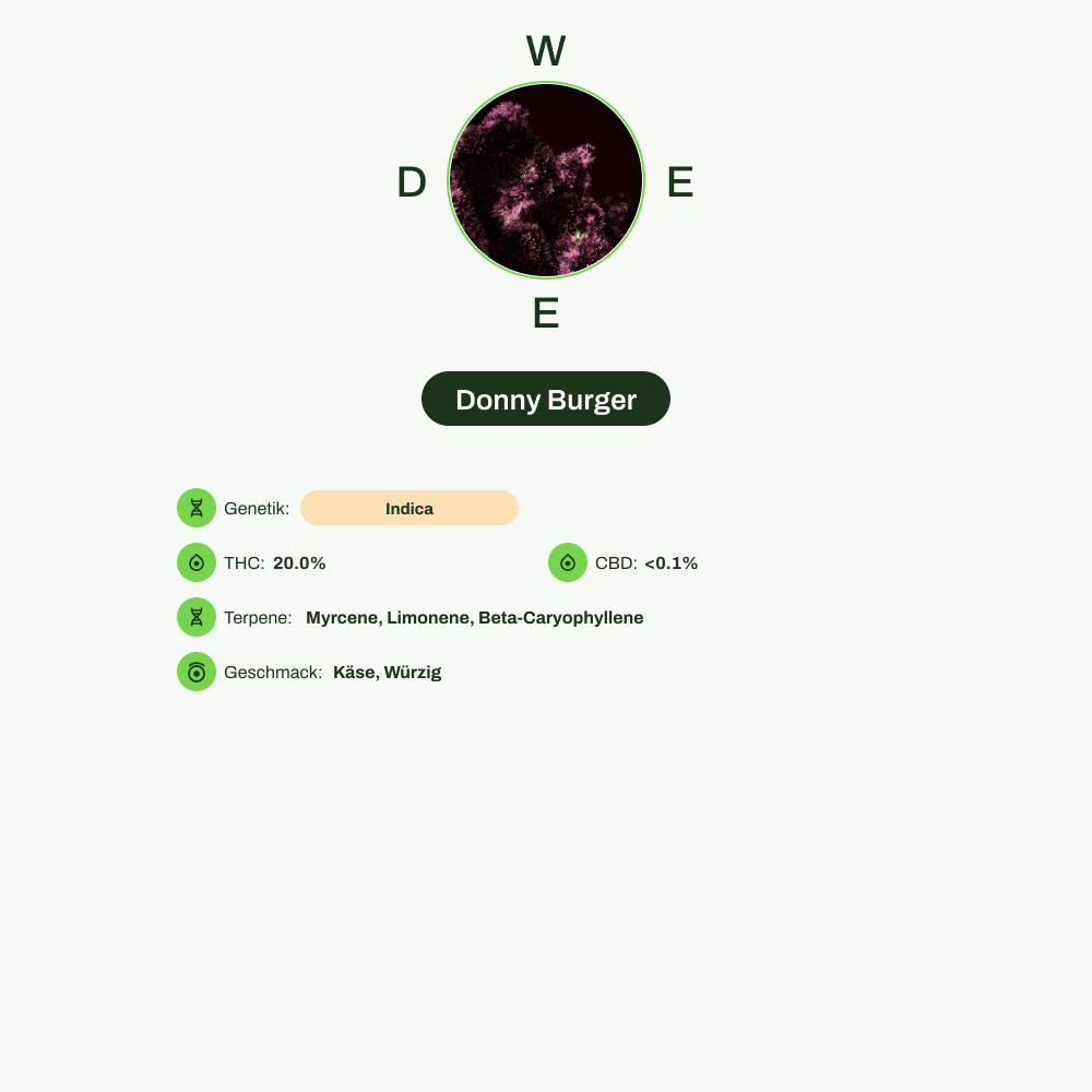 Infografik über THC-Gehalt, CBD-Gehalt, Terpene, Wirkungen, Geschmack von Donny Burger