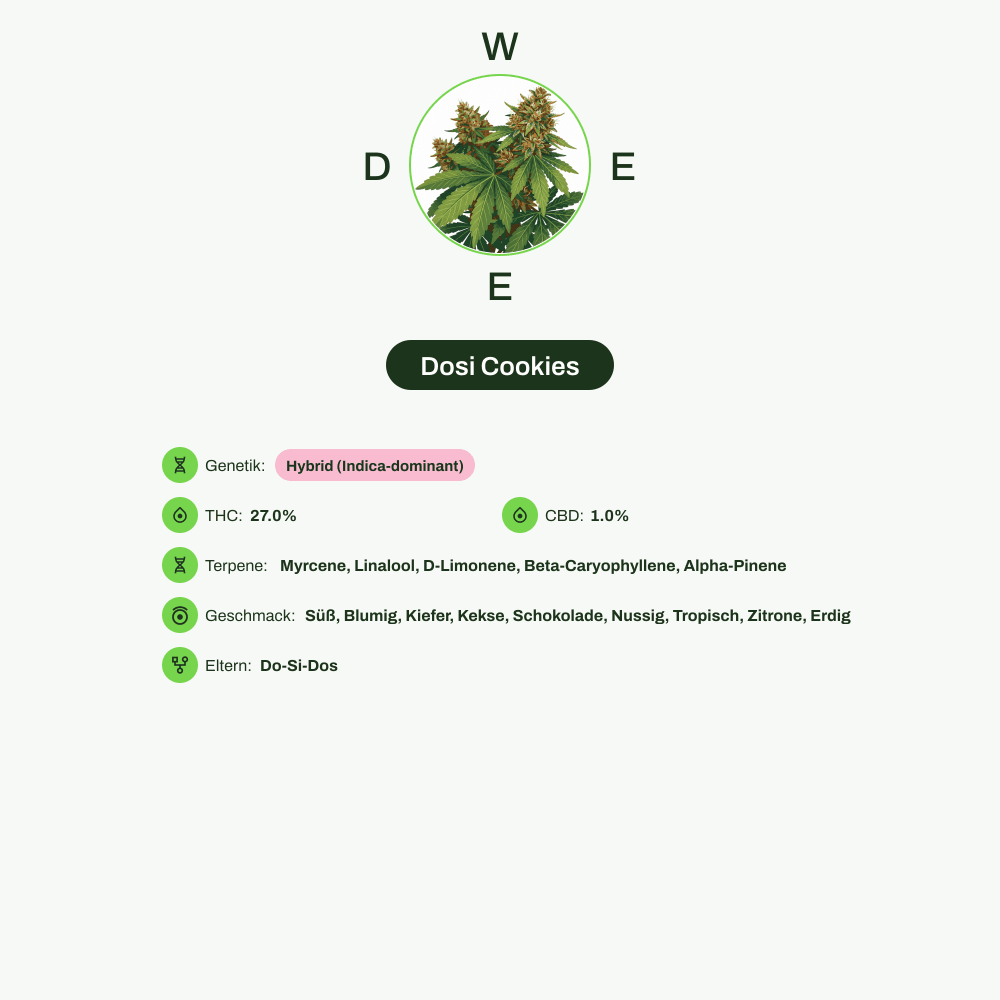 Infografik über THC-Gehalt, CBD-Gehalt, Terpene, Wirkungen, Geschmack von Dosi Cookies