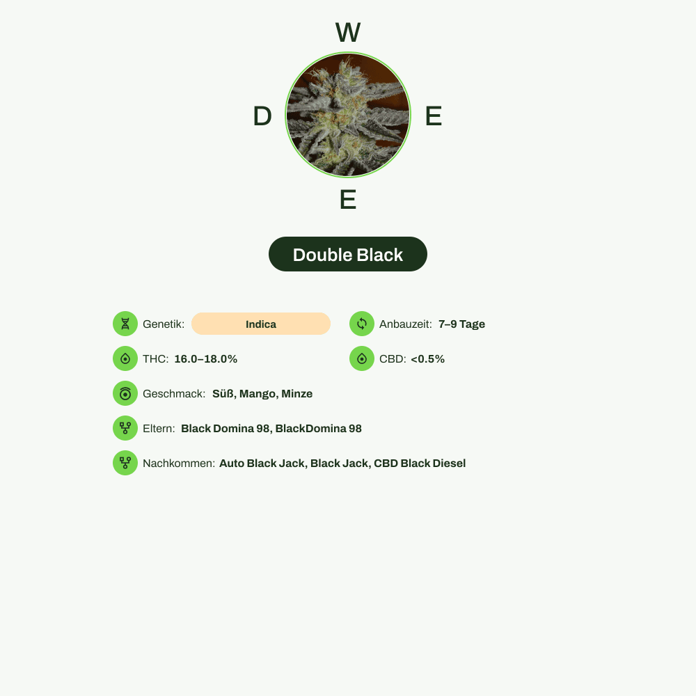 Infografik über THC-Gehalt, CBD-Gehalt, Wirkungen, Geschmack von Double Black