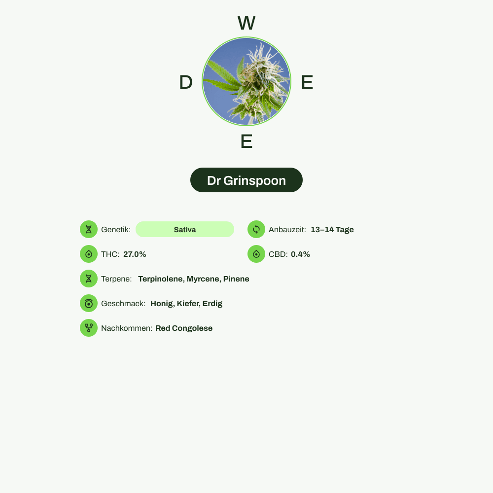 Infografik über THC-Gehalt, CBD-Gehalt, Terpene, Wirkungen, Geschmack von Dr Grinspoon