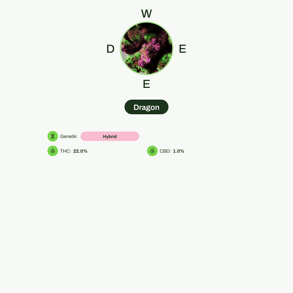 Infografik über THC-Gehalt, CBD-Gehalt von Dragon