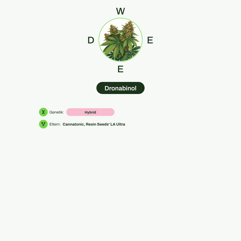 Infografik über THC-Gehalt, CBD-Gehalt von Dronabinol