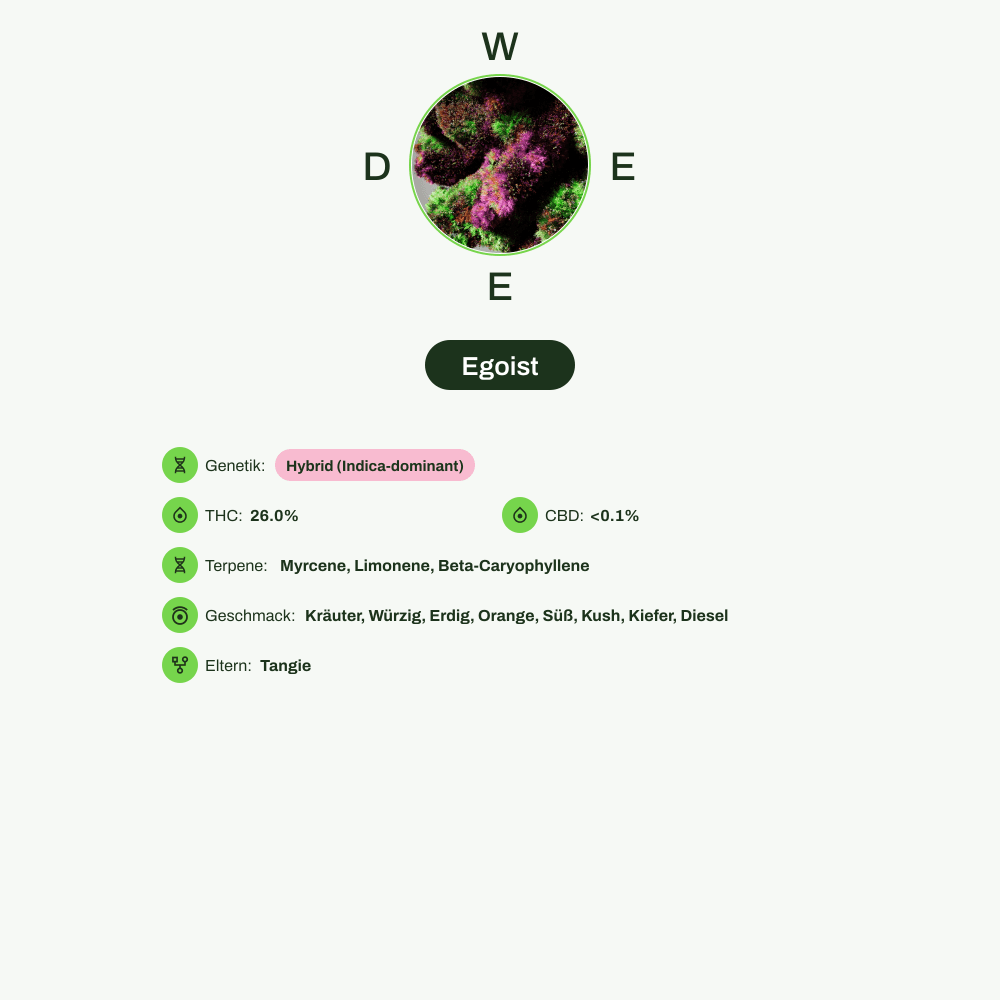 Infografik über THC-Gehalt, CBD-Gehalt, Terpene, Wirkungen, Geschmack von Egoist