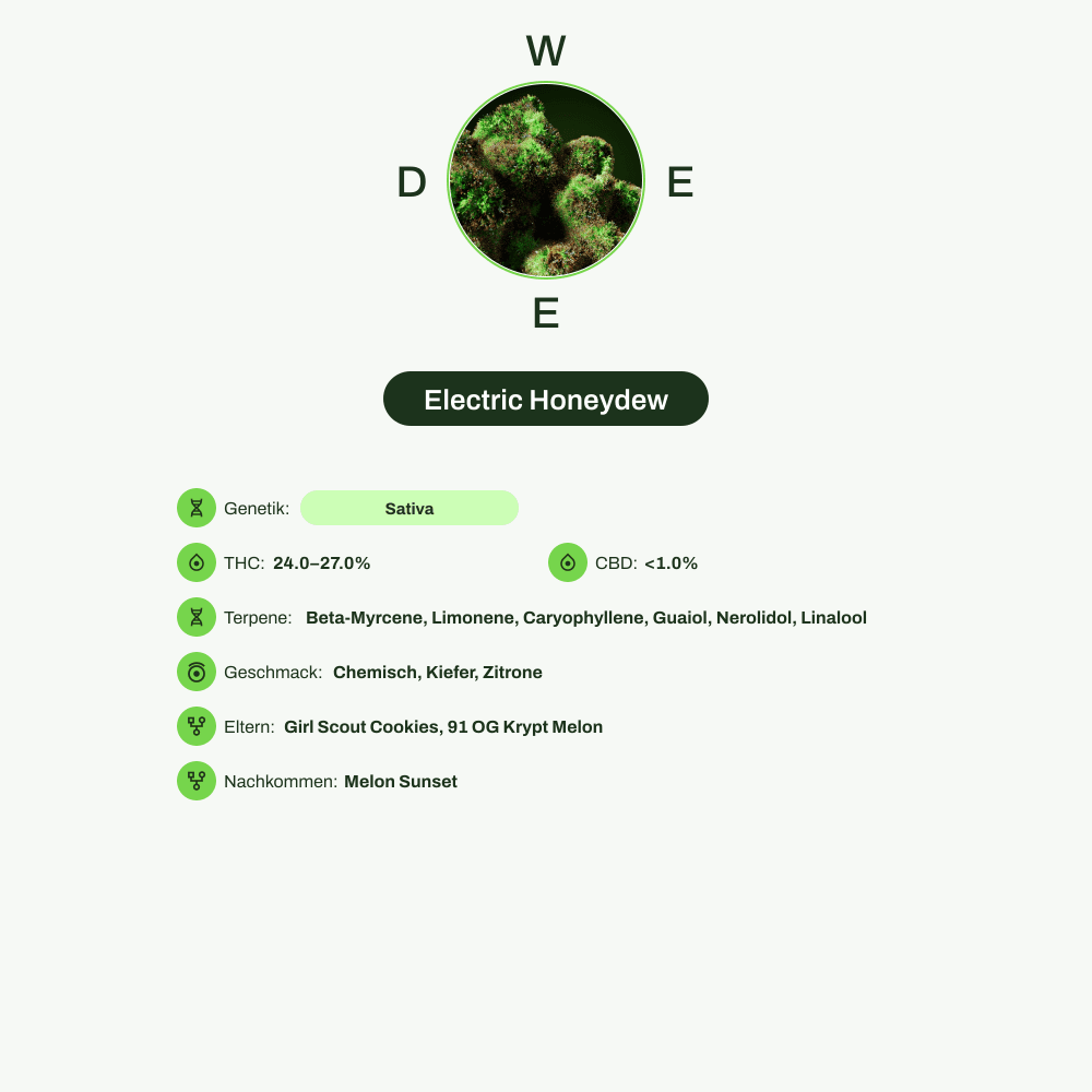 Infografik über THC-Gehalt, CBD-Gehalt, Terpene, Wirkungen, Geschmack von Electric Honeydew