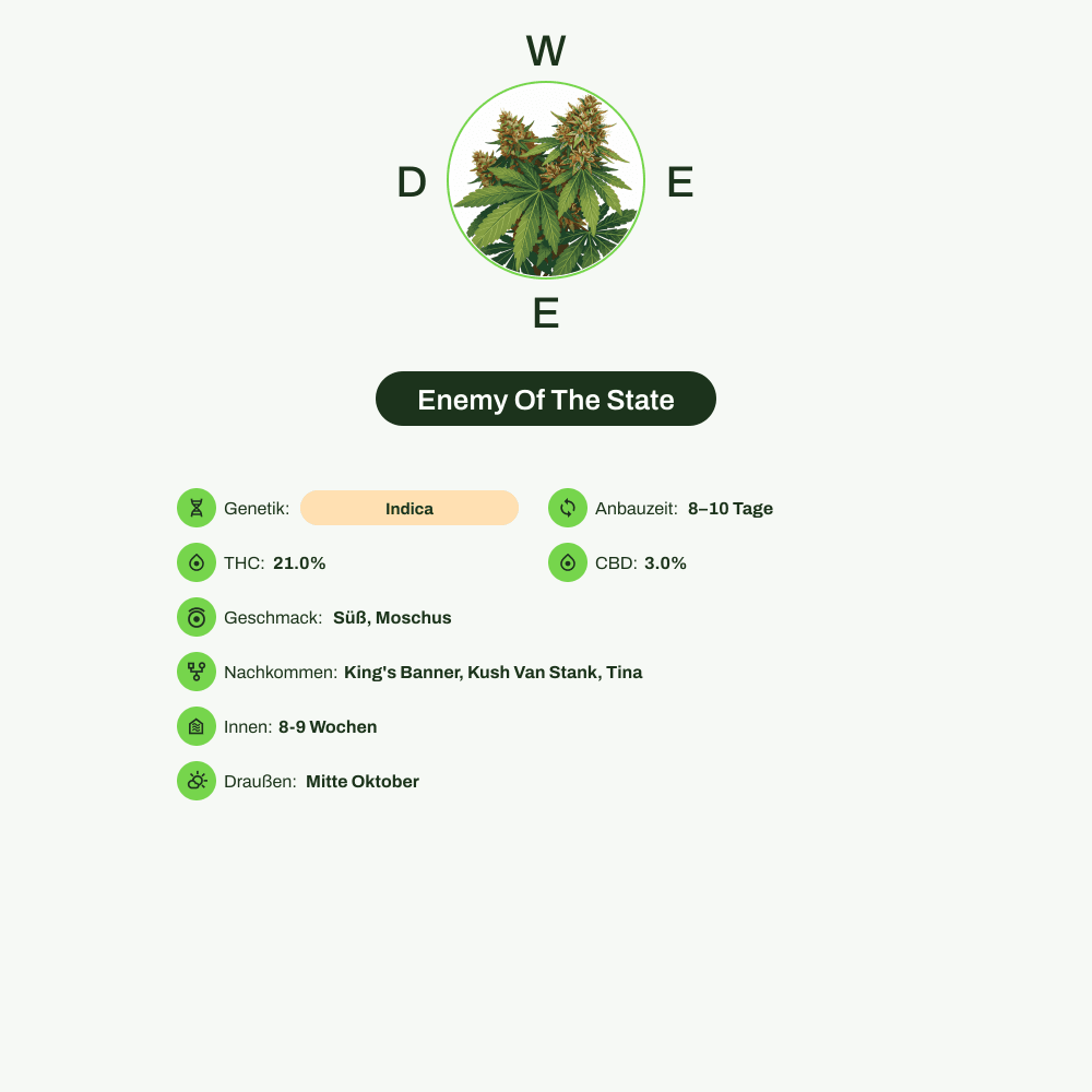 Infografik über THC-Gehalt, CBD-Gehalt, Wirkungen, Geschmack von Enemy Of The State