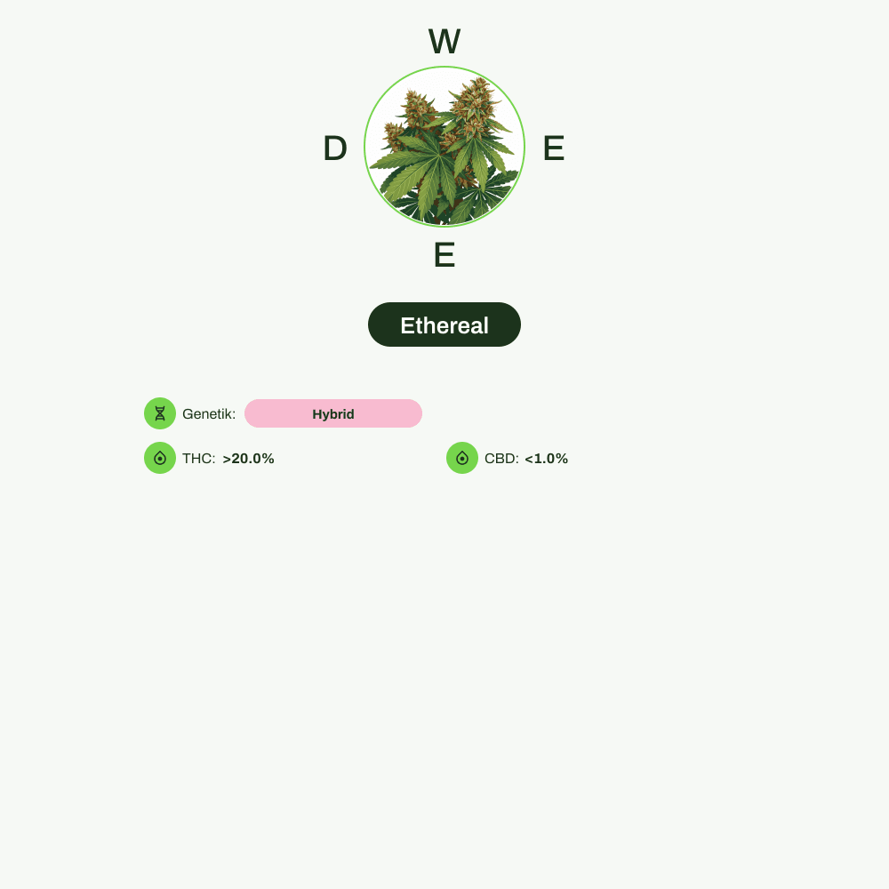 Infografik über THC-Gehalt, CBD-Gehalt von Ethereal
