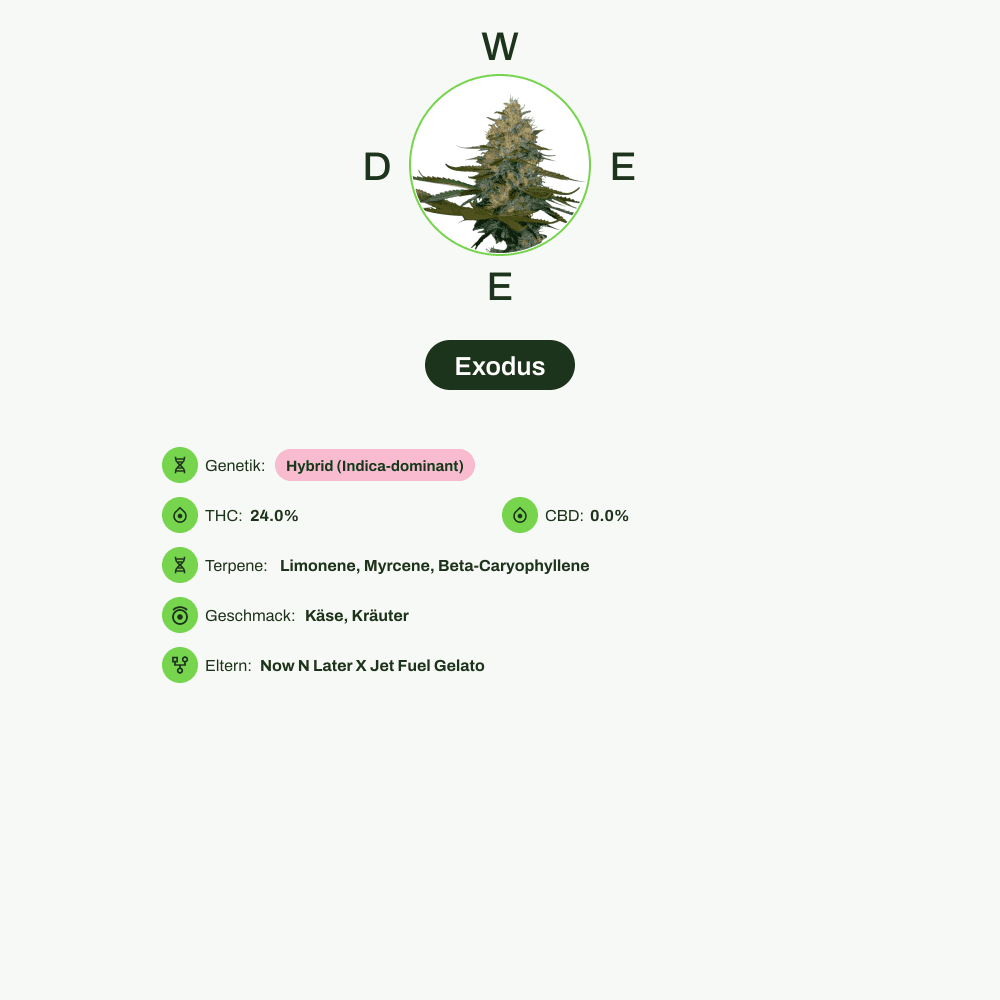 Infografik über THC-Gehalt, CBD-Gehalt, Terpene, Wirkungen, Geschmack von Exodus