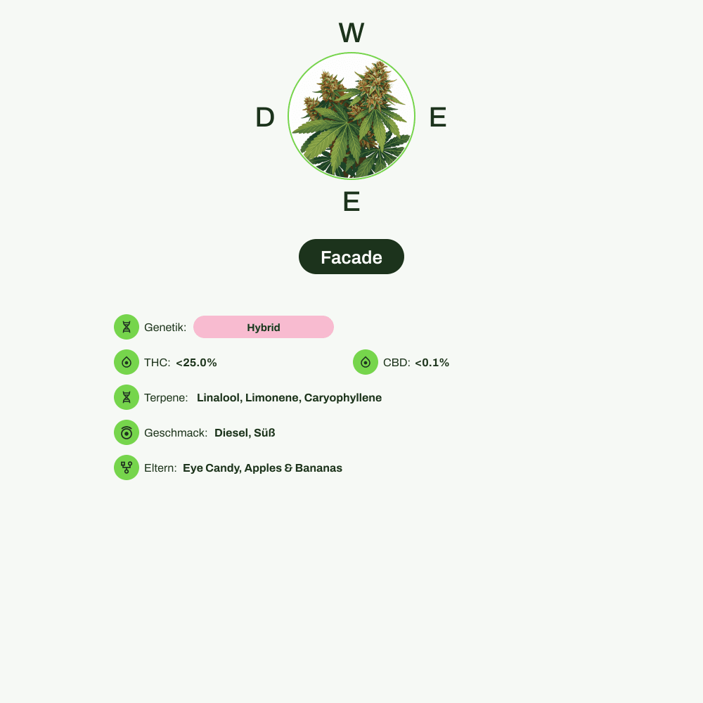 Infografik über THC-Gehalt, CBD-Gehalt, Terpene, Wirkungen, Geschmack von Facade