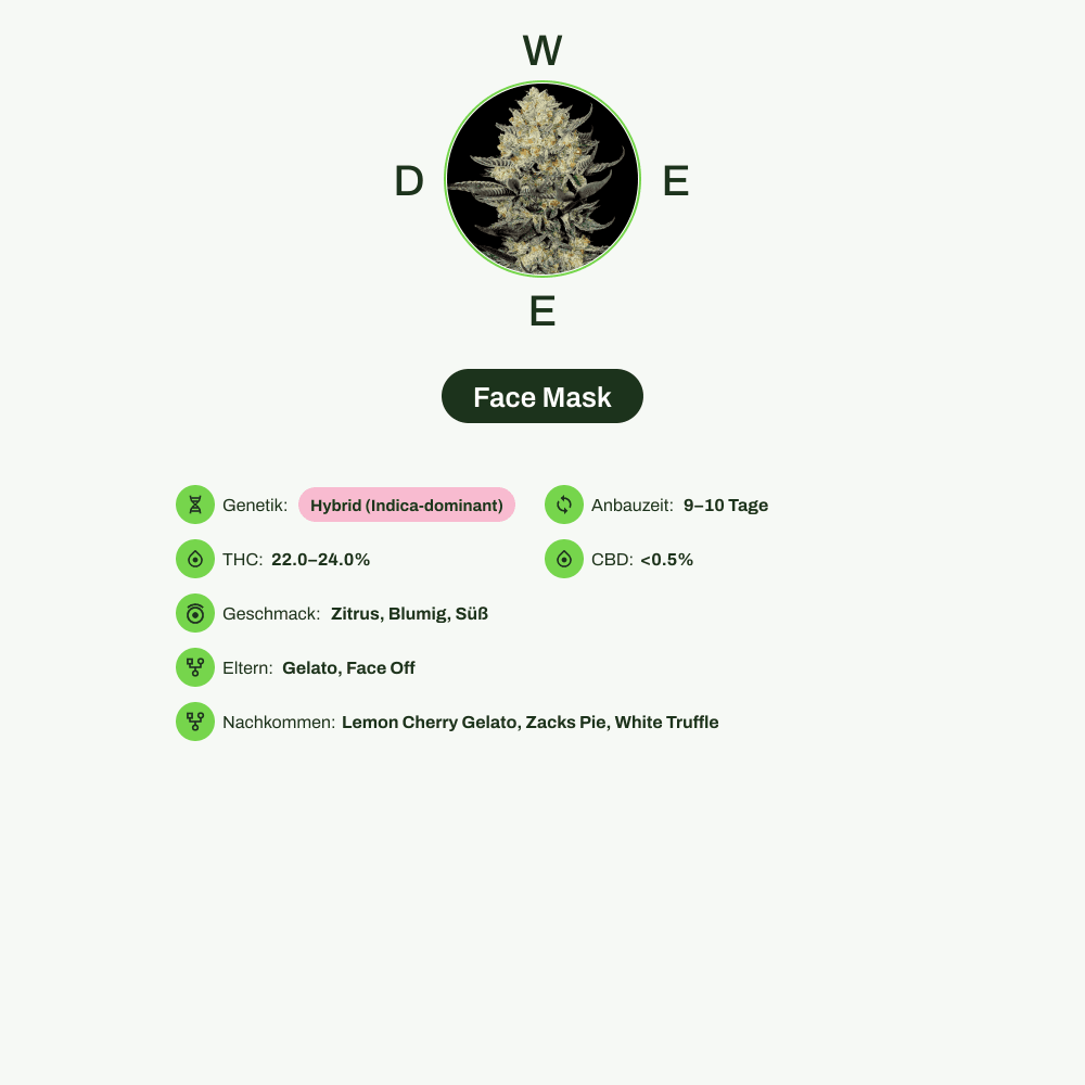 Infografik über THC-Gehalt, CBD-Gehalt, Wirkungen, Geschmack von Face Mask