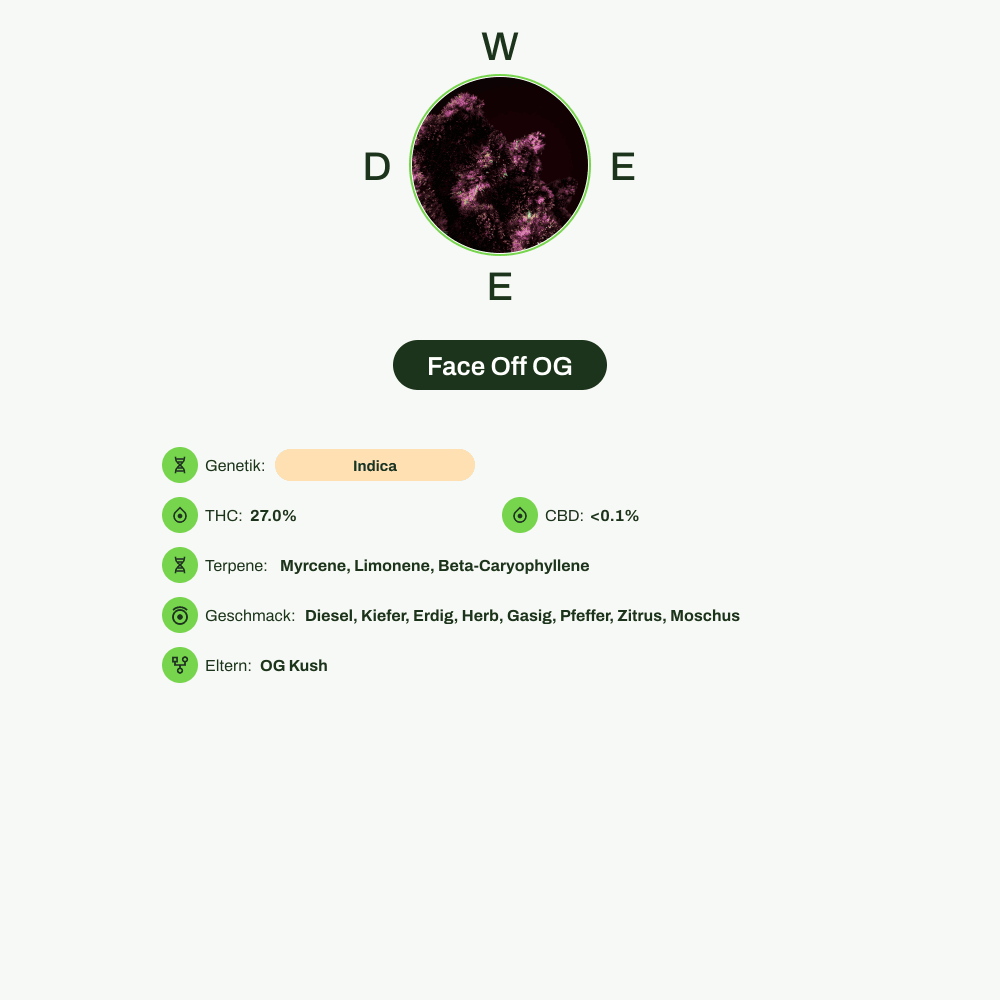Infografik über THC-Gehalt, CBD-Gehalt, Terpene, Wirkungen, Geschmack von Face Off OG