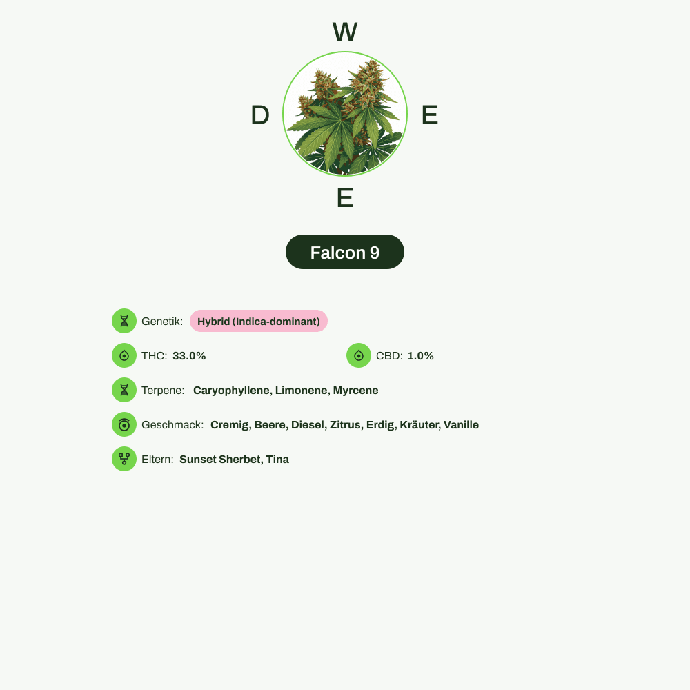 Infografik über THC-Gehalt, CBD-Gehalt, Terpene, Wirkungen, Geschmack von Falcon 9