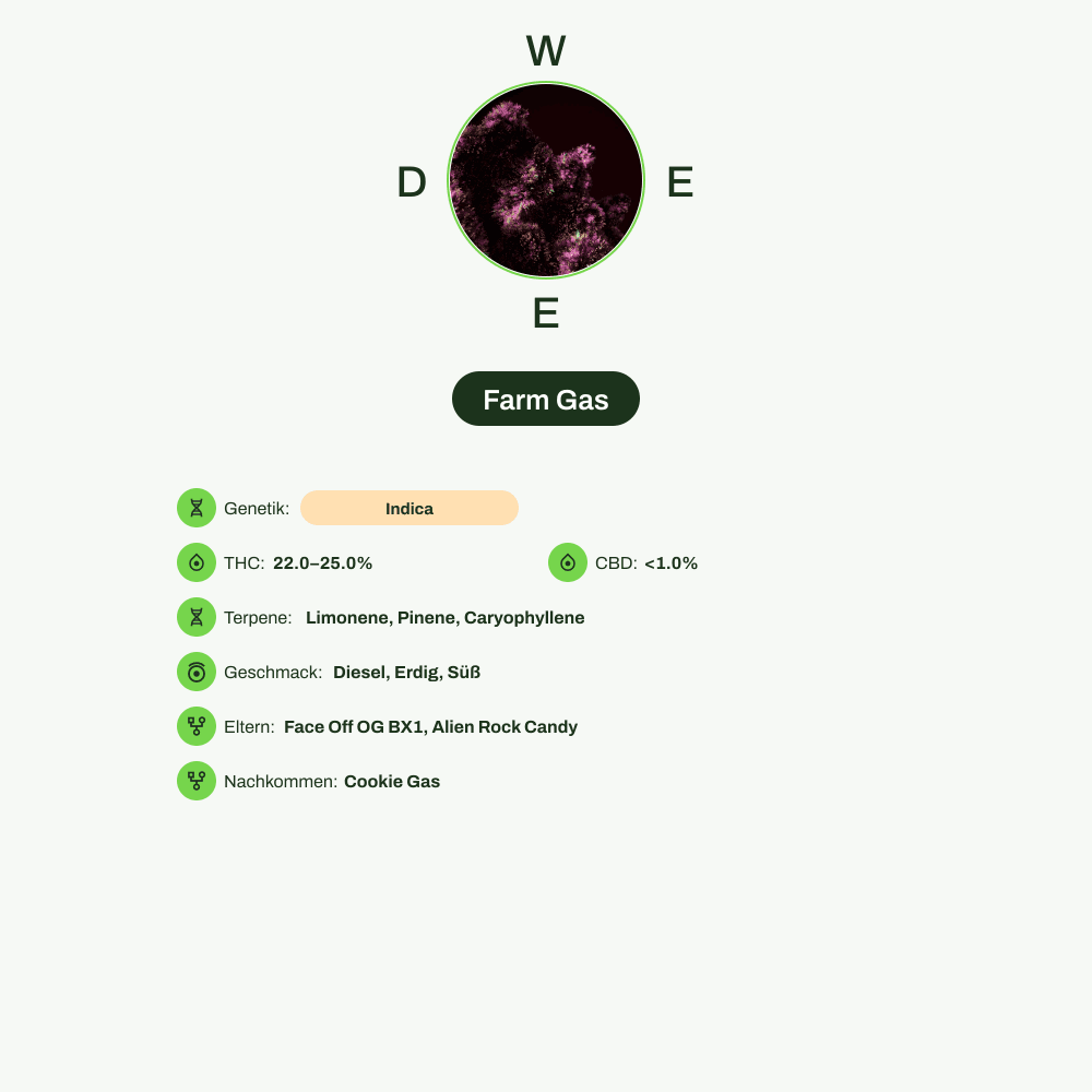 Infografik über THC-Gehalt, CBD-Gehalt, Terpene, Wirkungen, Geschmack von Farm Gas