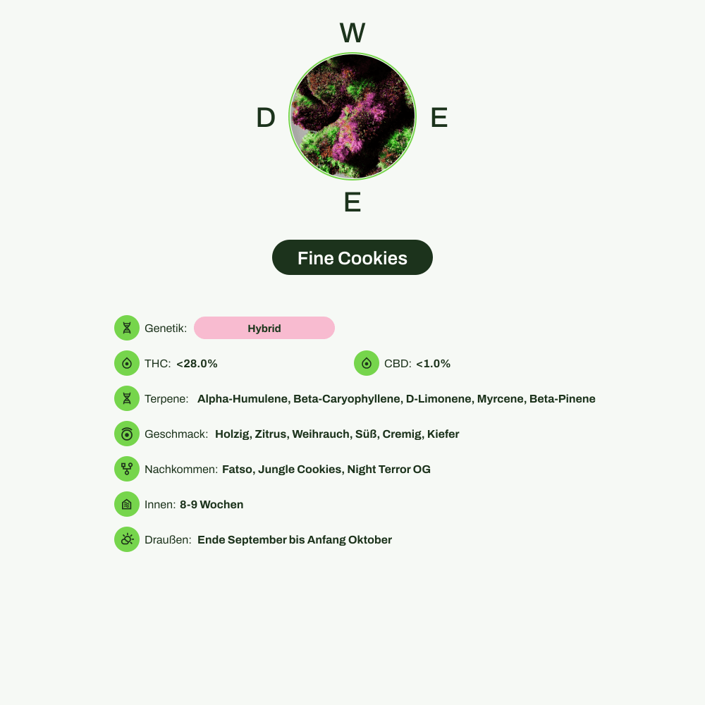 Infografik über THC-Gehalt, CBD-Gehalt, Terpene, Wirkungen, Geschmack von Fine Cookies