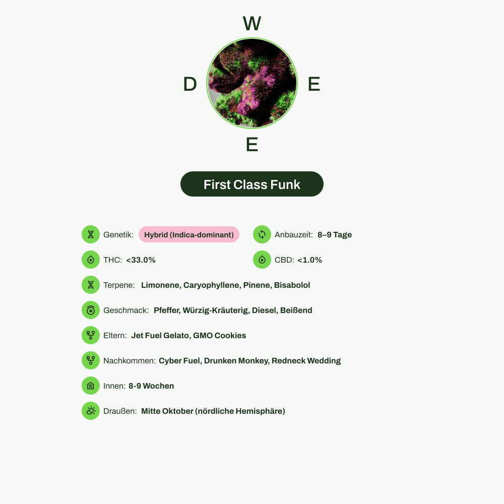 Infografik über THC-Gehalt, CBD-Gehalt, Terpene, Wirkungen, Geschmack von First Class Funk